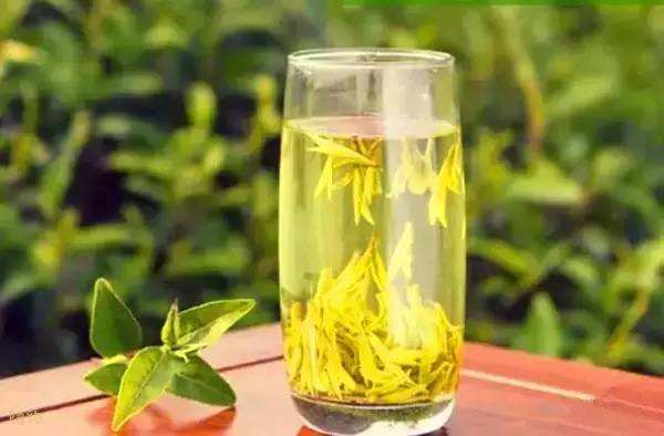 黄茶的功效与作用有哪些？