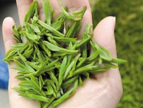 潮汕炒茶属于什么茶 是绿茶吗？