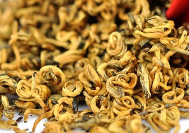 滇红金螺茶属于什么档次的茶  滇红金螺茶的品质特点