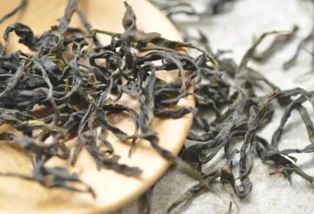 乌岽单丛是乌龙茶吗  乌岽单丛茶的产地特点
